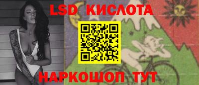 Альфа ПВП Ставрополь