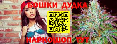 Альфа ПВП Ставрополь