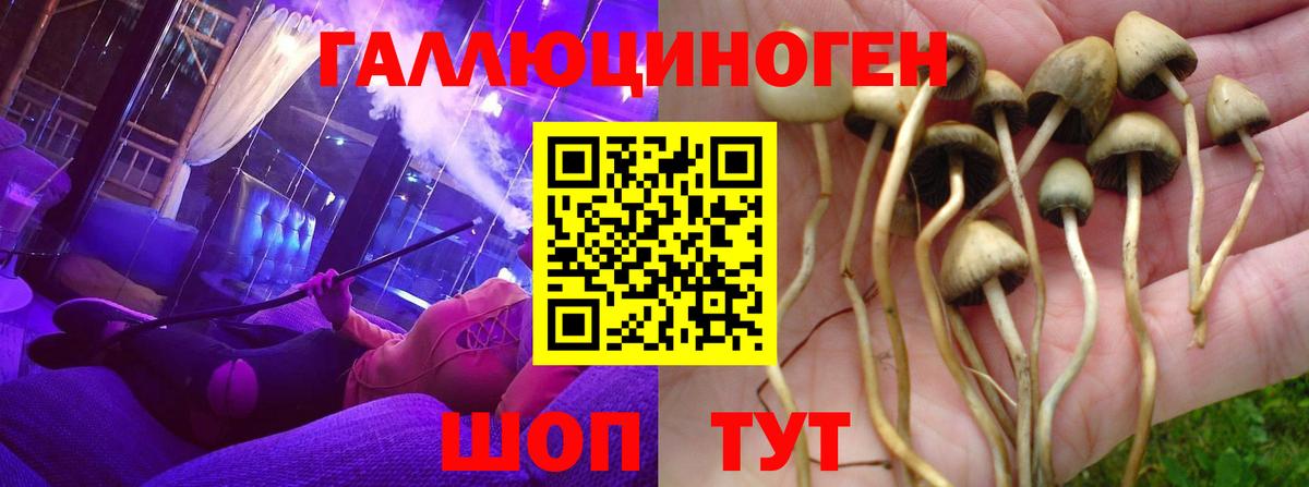 Галлюциногенные грибы Psilocybine cubensis  Вход с VPN  Псилоцибиновые грибы прущие грибы  Нягань 